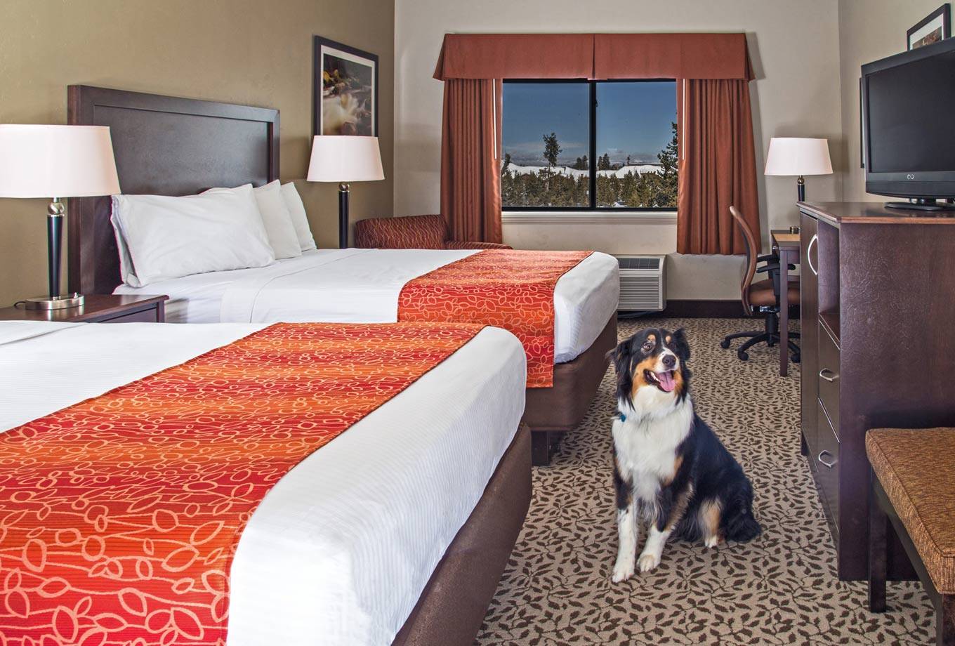West Yellowstone pet friendly lodging - Gray Wolf Inn and Suites