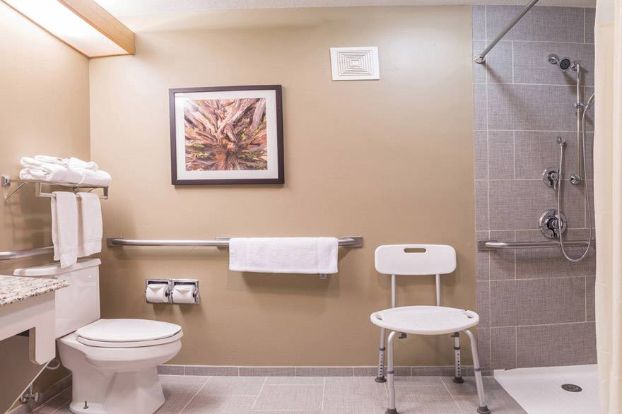 Gray Wolf Inn and Suites ADA accessible bathroom with roll-in shower