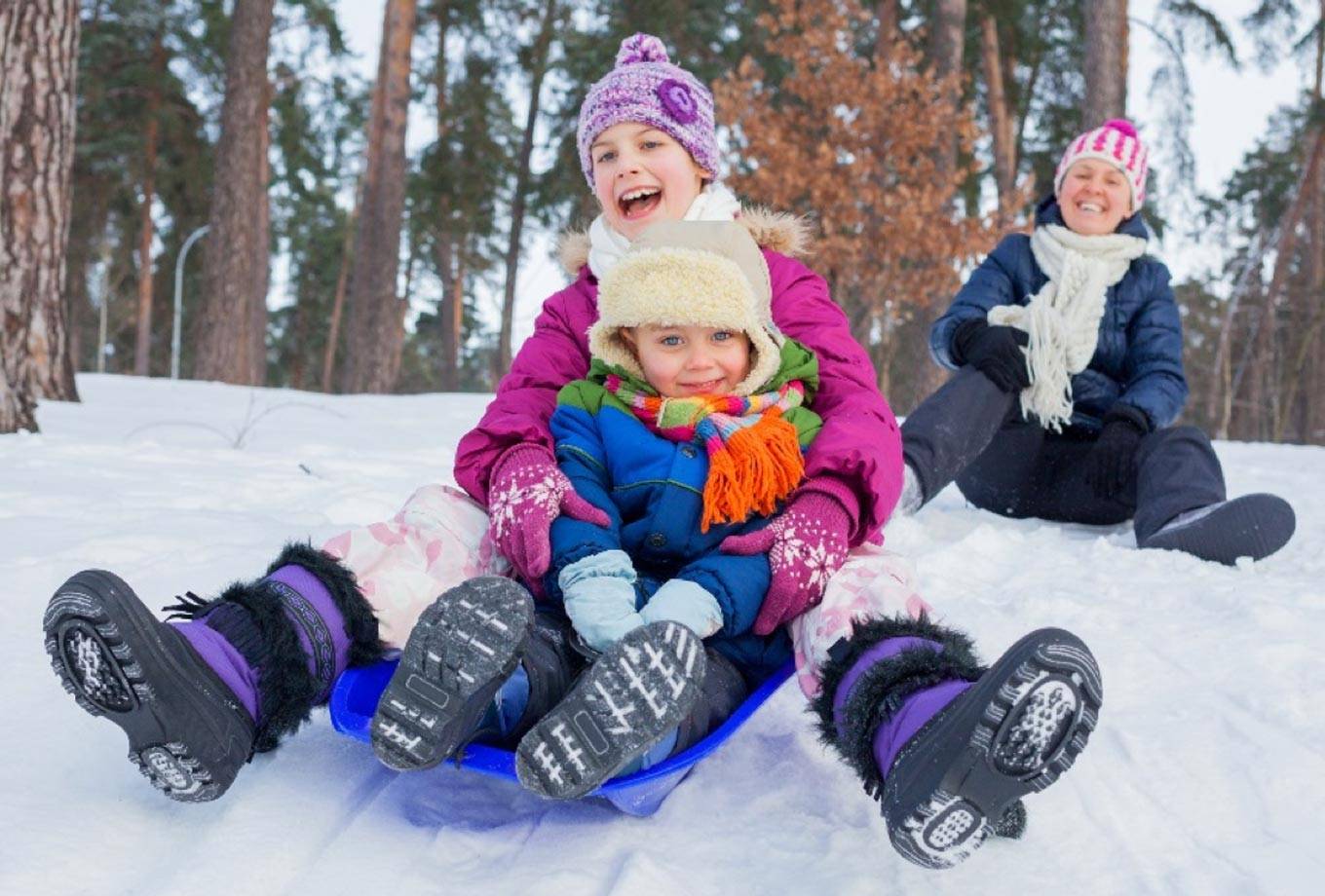 Winter sledding in Yellowstone National Park