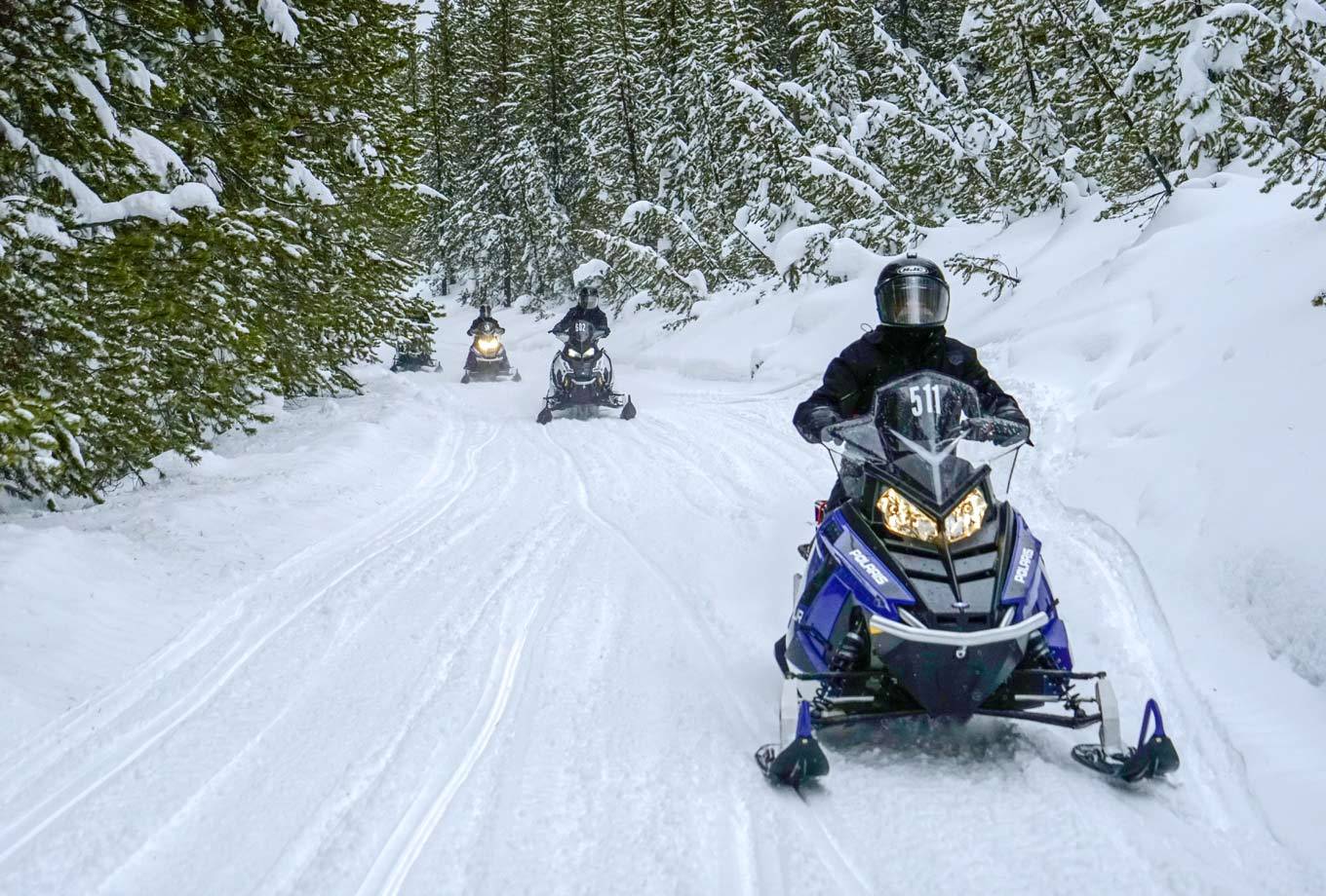 A group of snowmobile riders exploring the trails outside Yellowstone National Park