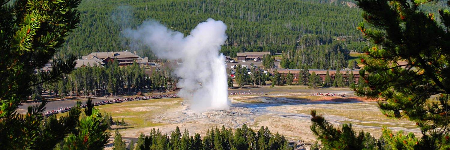 Old Faithful geyser erupting in Yellowstone National Park