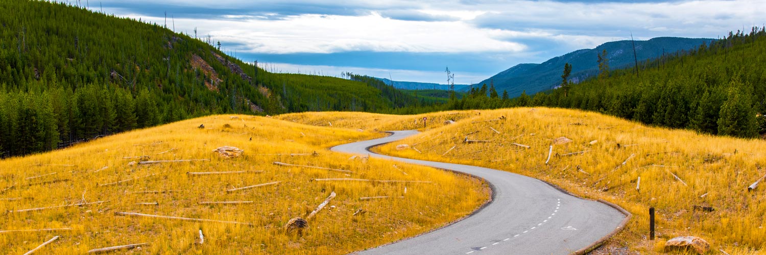 Autumn road through Yellowstone National Park