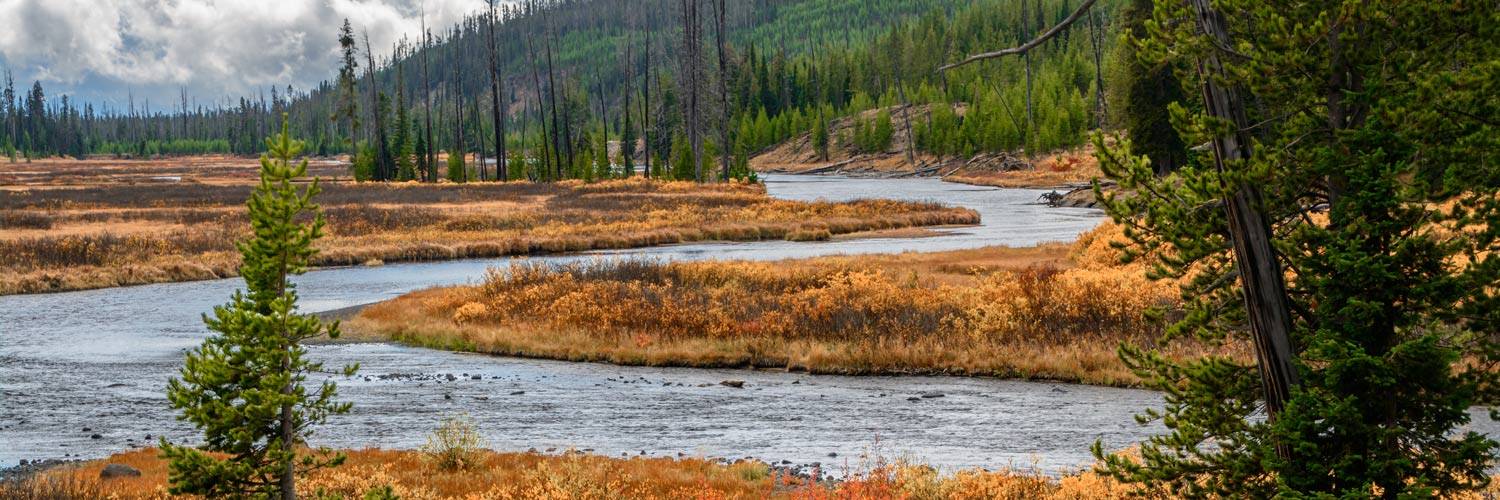 Yellowstone Madison river in autumn