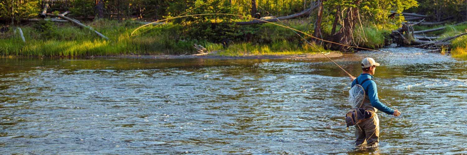 Fly fishing in Yellowstone National Park