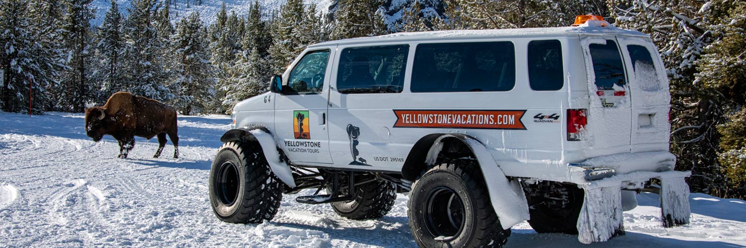 A snowcoach from Gardiner, MT next to a bison in Yellowstone National Park