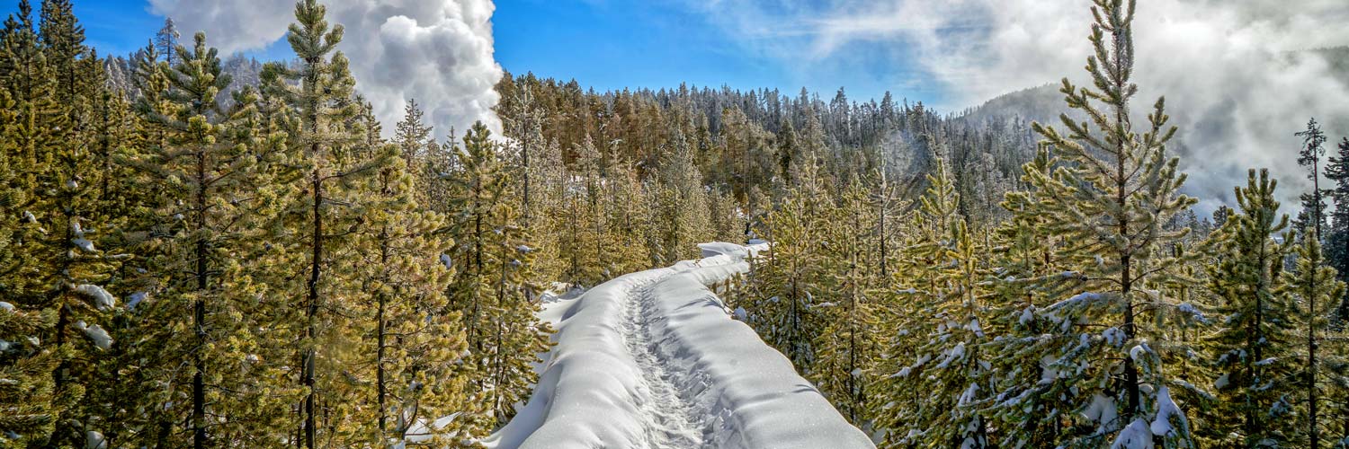 A winter boardwalk in Yellowstone National Park