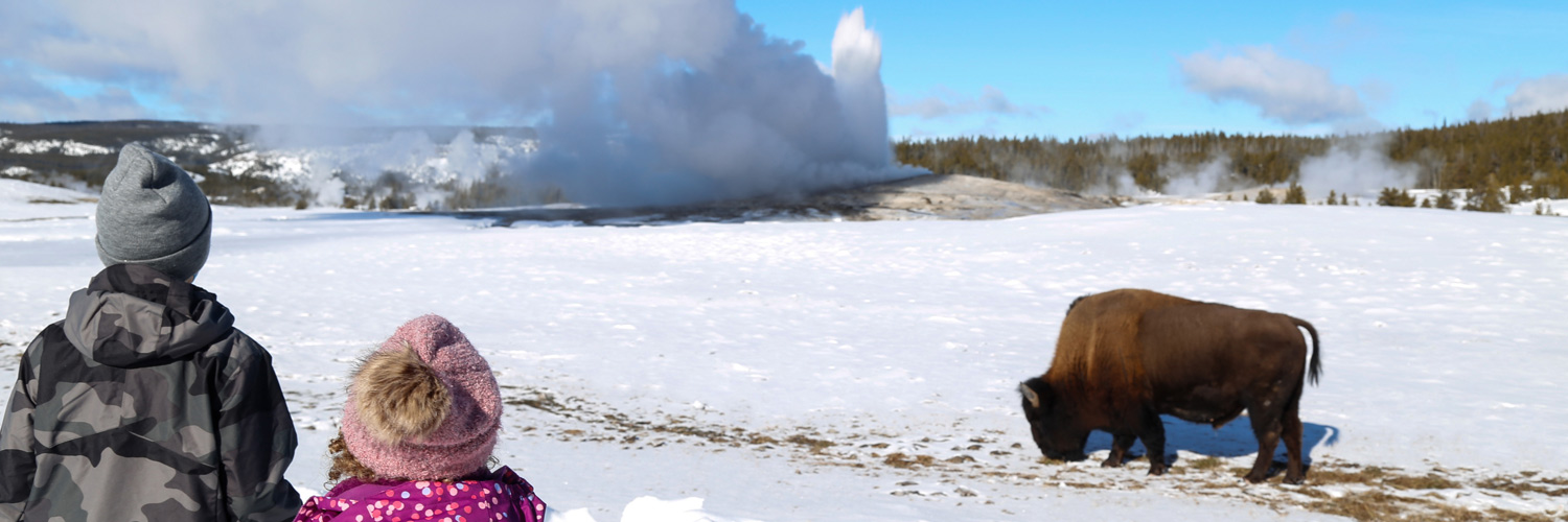 Two young Yellowstone visitors viewing a bison near an eruption of Old Faithful