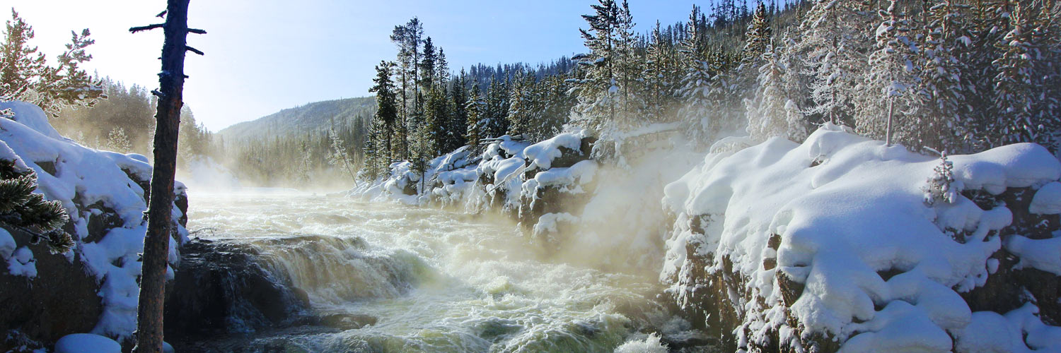 Yellowstone