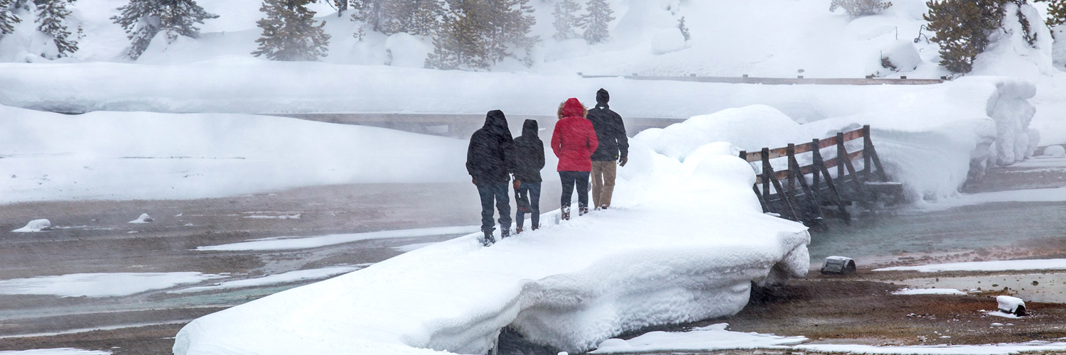 Discover Yellowstone Park in winter