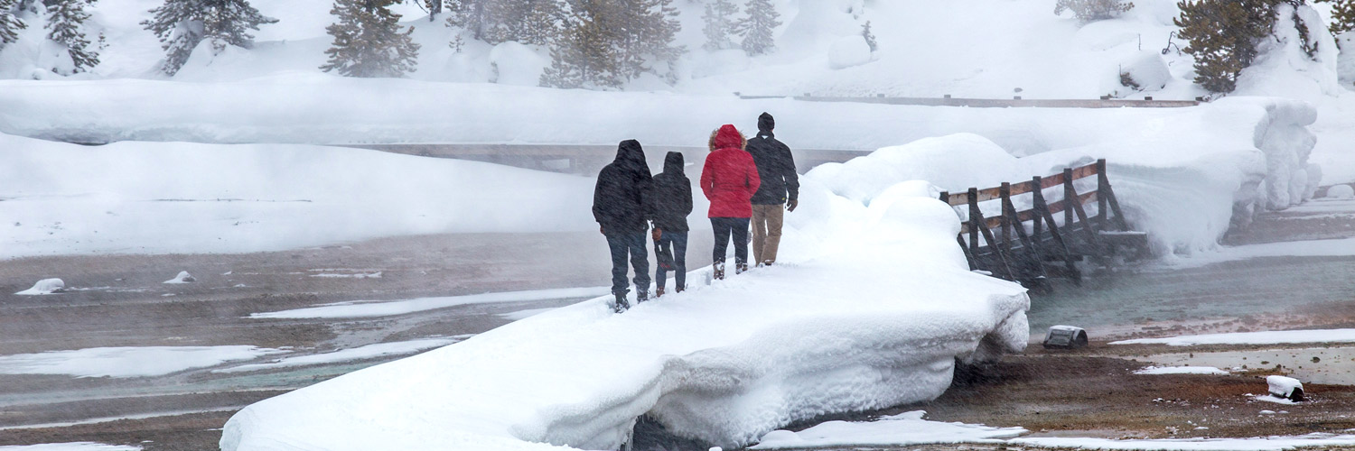 Discover Yellowstone Park in winter