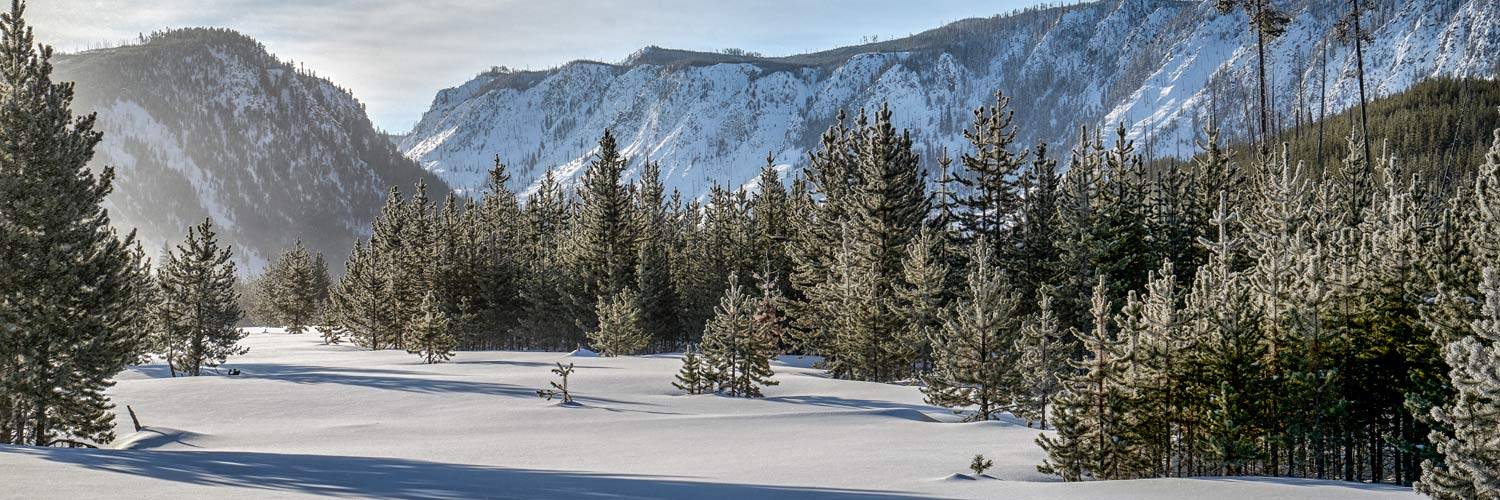 A beautiful snowy landscape in Yellowstone National Park