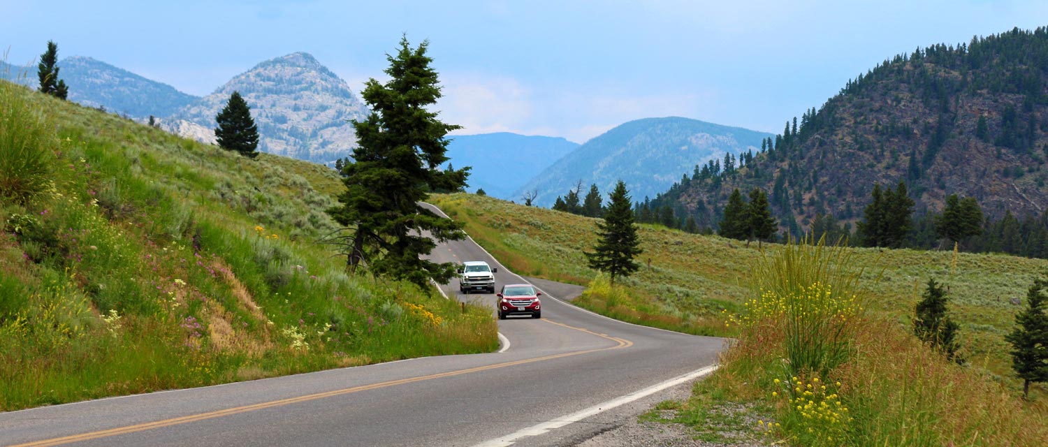 Cars entering Yellowstone National Park