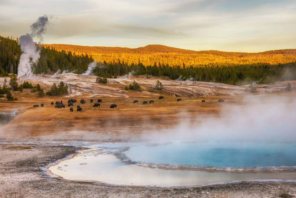 Yellowstone geyser basin in fall
