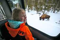 Yellowstone Vacations snowcoach tours are a blast for kids!
