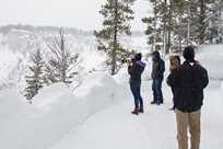Snowcoach passengers stop to take some photos at the Grand Canyon of the Yellowstone.