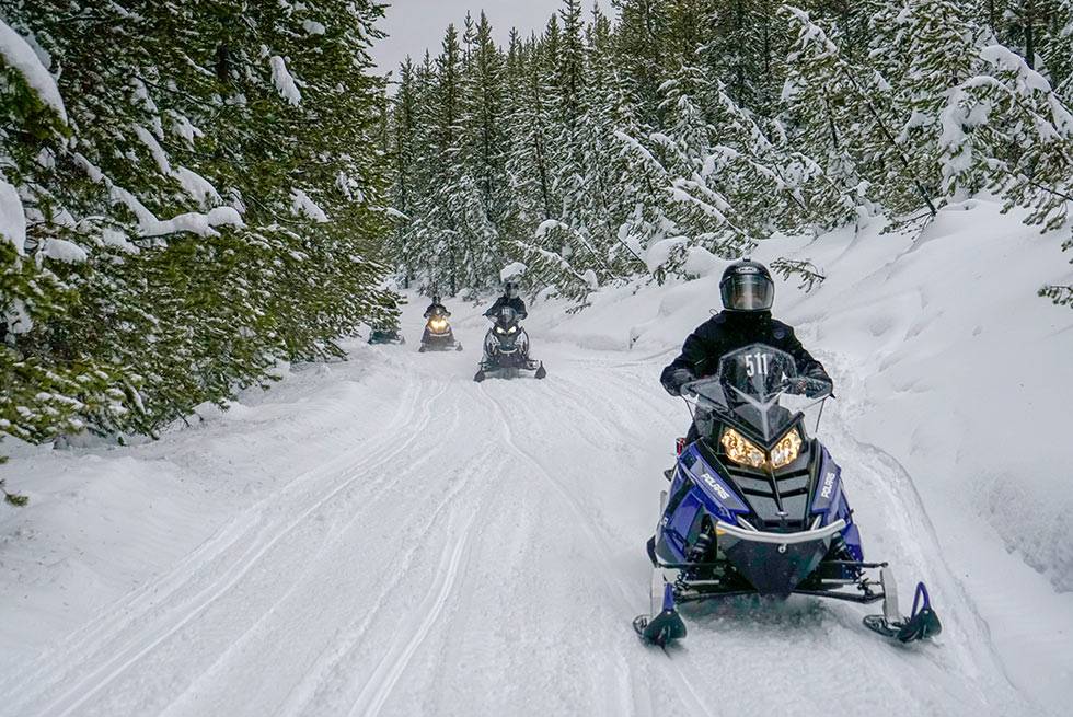 Yellowstone snowmobiles on a mountain trail