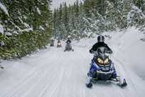 Yellowstone snowmobiles on a mountain trail