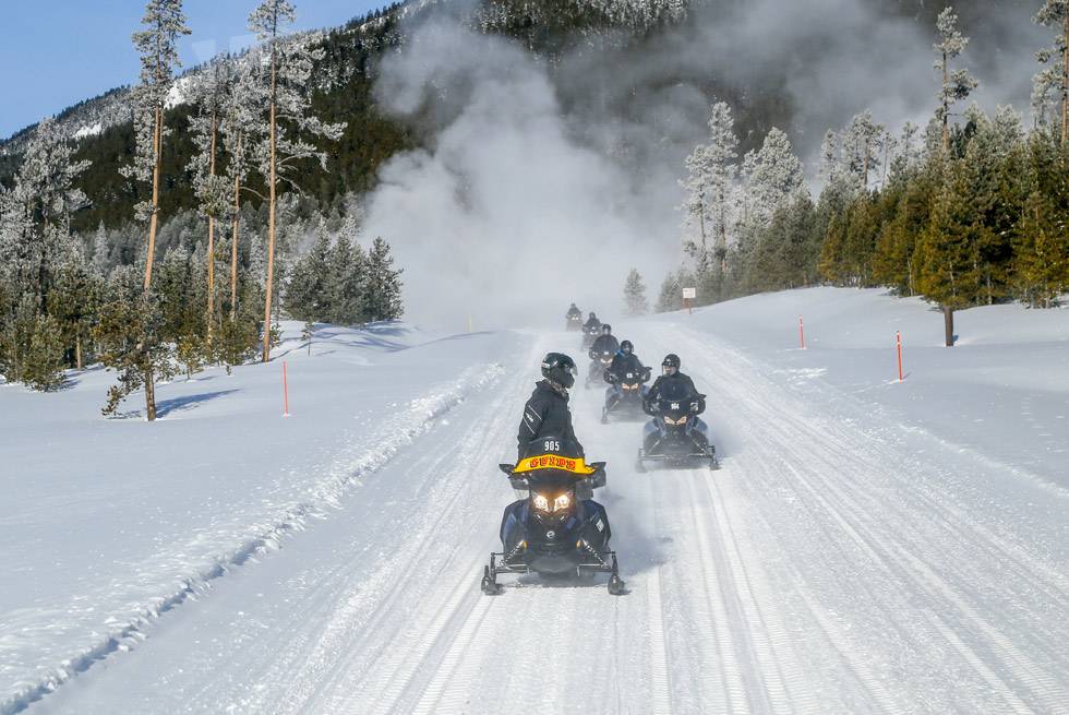 A line of snowmobiles with their guide travel through Yellowstone National Park