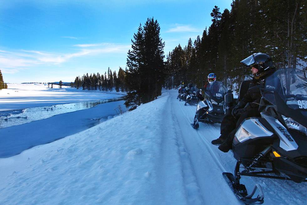 Yellowstone snowmobile riders watching trumpeter swans