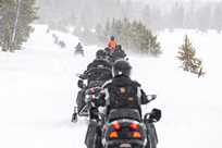 Snowmobiling is a fun and thrilling way to experience Yellowstone National Park in winter!