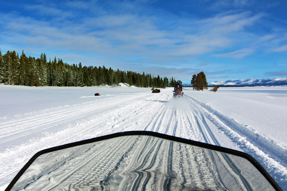 View from a snowmobile riding through Yellowstone National Park