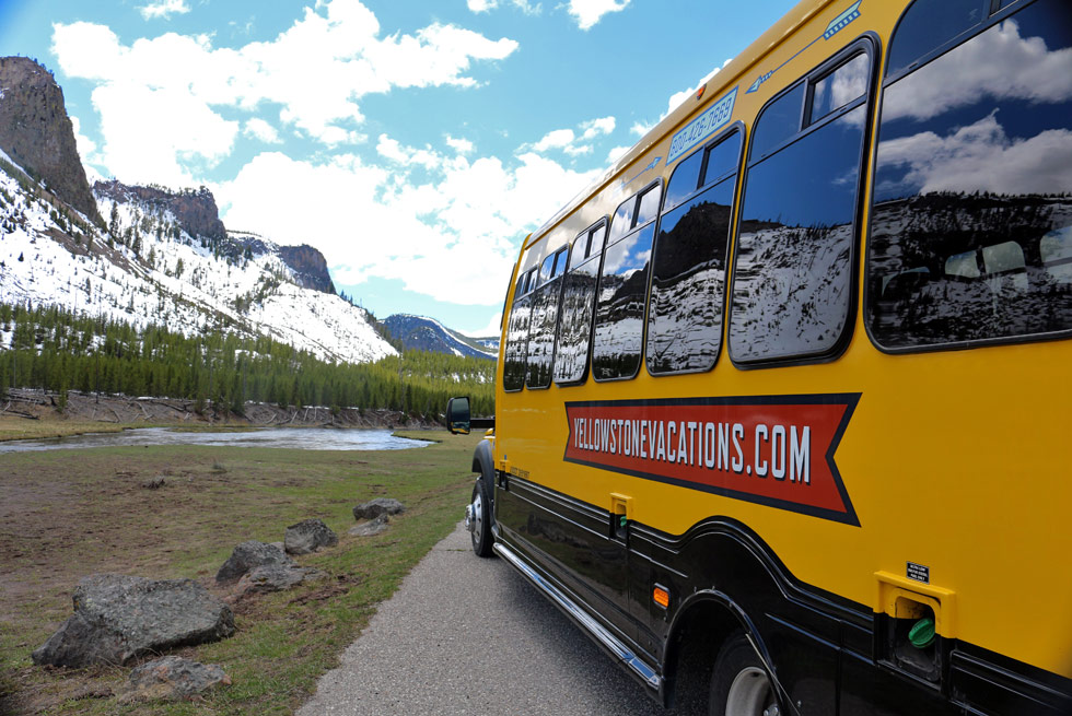 Summer bus tours in Yellowstone National Park