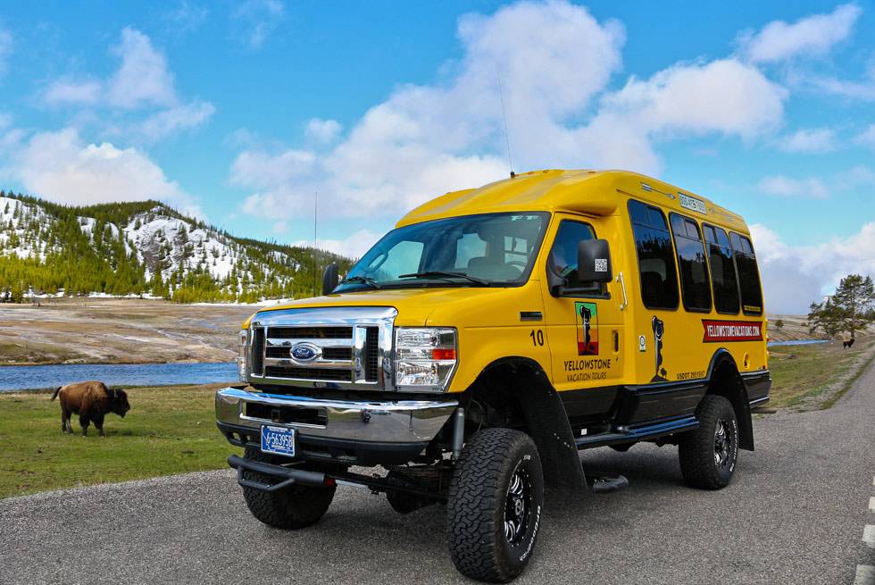 Wildlife viewing in Yellowstone National Park with summer bus tours