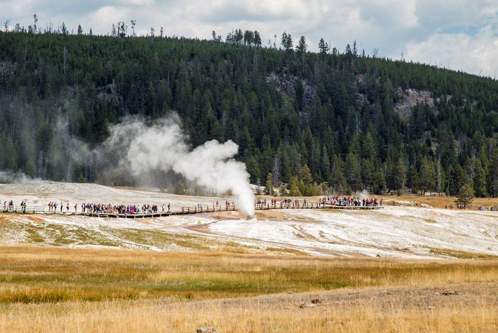 Beehive Geyser is a regular stop on Yellowstone Vacations Summer Bus Tours