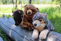 Bear, Bison, and Wolf stuffed animals at Yellowstone General Stores