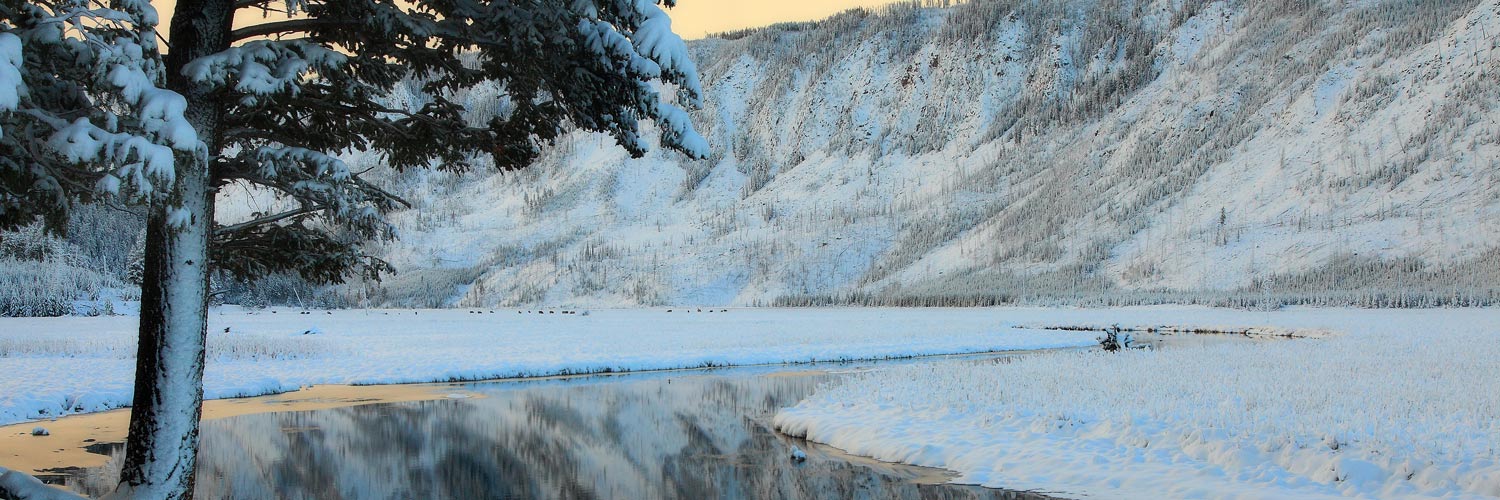 Yellowstone's Madison River in winter
