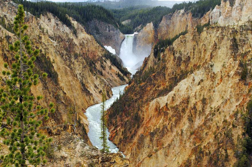Grand Canyon of the Yellowstone in Yellowstone National Park
