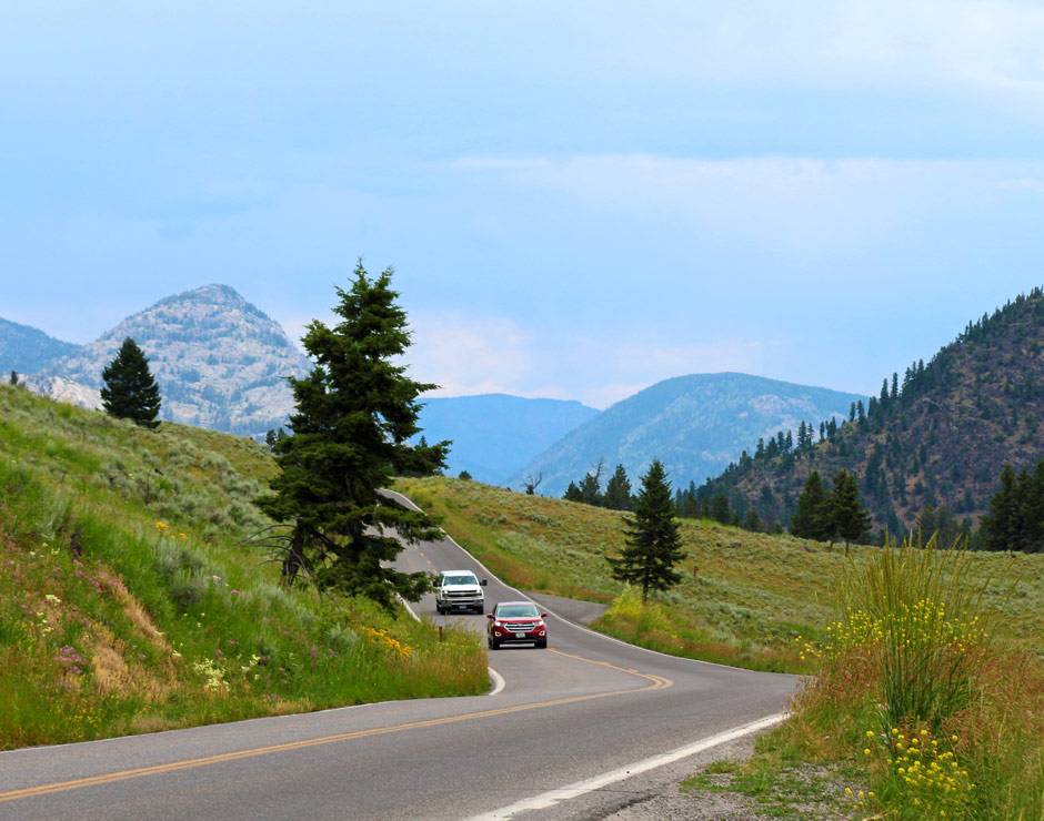 A Yellowstone roadway in summer